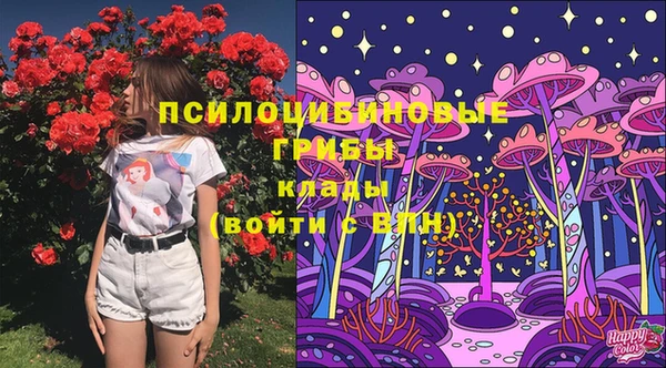 молекула духа Алексеевка